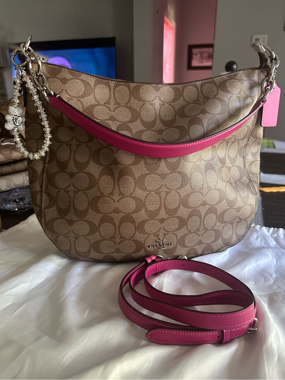 Coach Signature Elle Hobo Shoulder Bag
